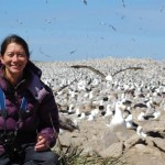 Sarah Browning-Lee in Falklands with the world's largest colony of Black Browed Albatross [Simon Browning]