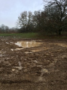 Wet and muddy ground on Salisbury Plain. [Crown Copyright]