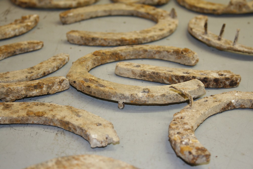 Some of the horseshoes found which date to the First World War. [Crown Copyright/MOD2016]
