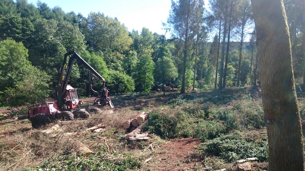 The harvester in action at Erlestoke Woods. [Landmarc Support Services/2016]