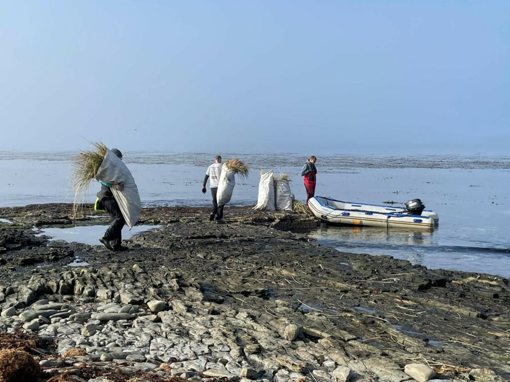 Two men carrying sacks full of tussac grass 'tillers'are walking along a rocky beach towards a small motorised dinghy. A third man is stood in front of the dinghy with a sack ready to load.