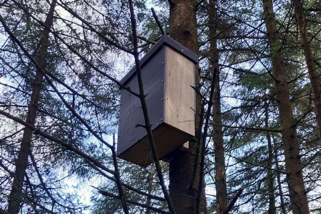 A large, enclosed wooden box, similar to a bird box, attached to a tree.