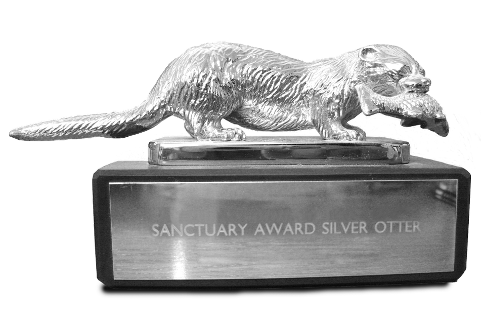 A silver trophy consisting of an otter with a fish in its mouth, perched on top of a rectangular plinth into which is inscribed: 'Sanctuary Award Silver Otter'