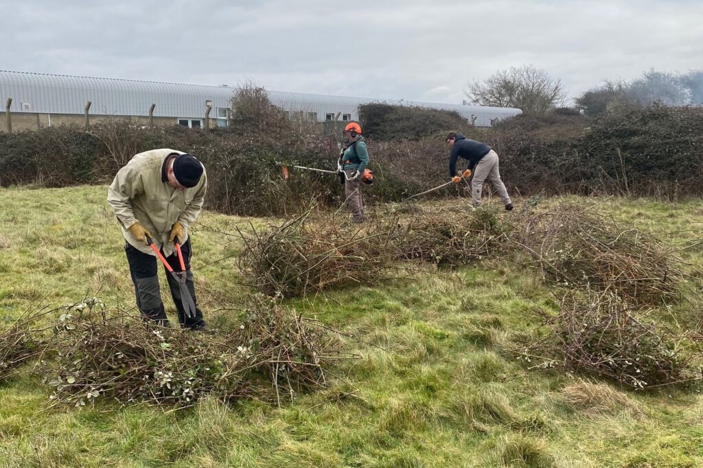 Three volunteers with gardening tools clearing patches of scrub in a grassy area. 