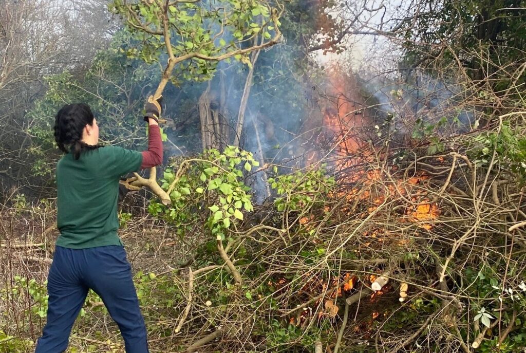 A volunteer throws some branches onto a burning pile of other branches.