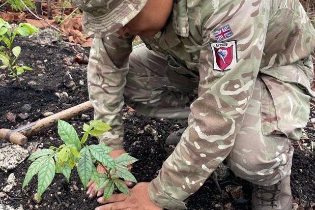 A soldier squats on the ground, pressing earth around a newly planted sapling.