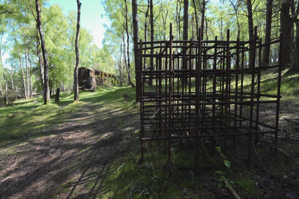 Black metal rods crossed over eachother to make a cube structure in a forest area. This would have been used to stop tanks.