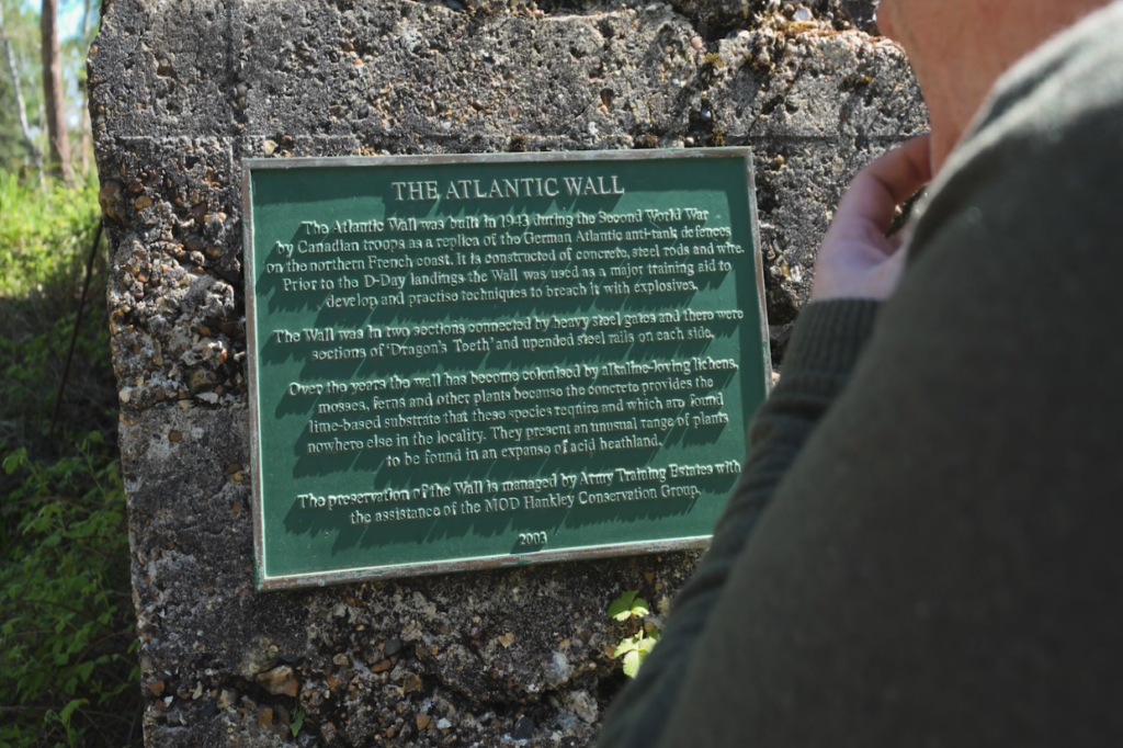 A man is seen reading a green plaque attached to a wall, which reads The Atlantic Wall.