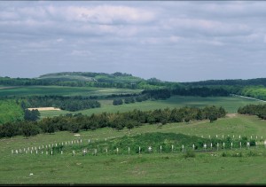 Salisbury Plain, one part of the huge area of land under DIO's management. Photo copyright Stephen Davis.