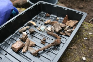 An image of one morning's finds on the medieval site. (Helen Pickering; Crown Copyright)