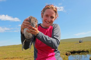 Sophie Rainier, a participant in Operation Auk, holding a Red Throated Diver chick. (Crown Copyright)