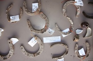 A number of labelled horseshoes found on the dig. [Richard Osgood; Crown Copyright]