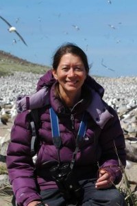 Sarah Browning-Lee in Falklands with colony of Black Browed Albatross [Simon Browning]