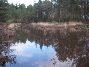 The byway when flooded. [Landmarc]