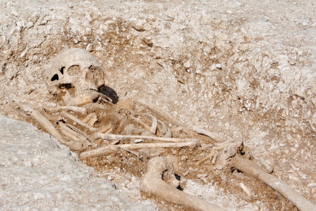 A skeleton in the cemetery prior to the completion of excavation. [Crown Copyright/MOD2016]