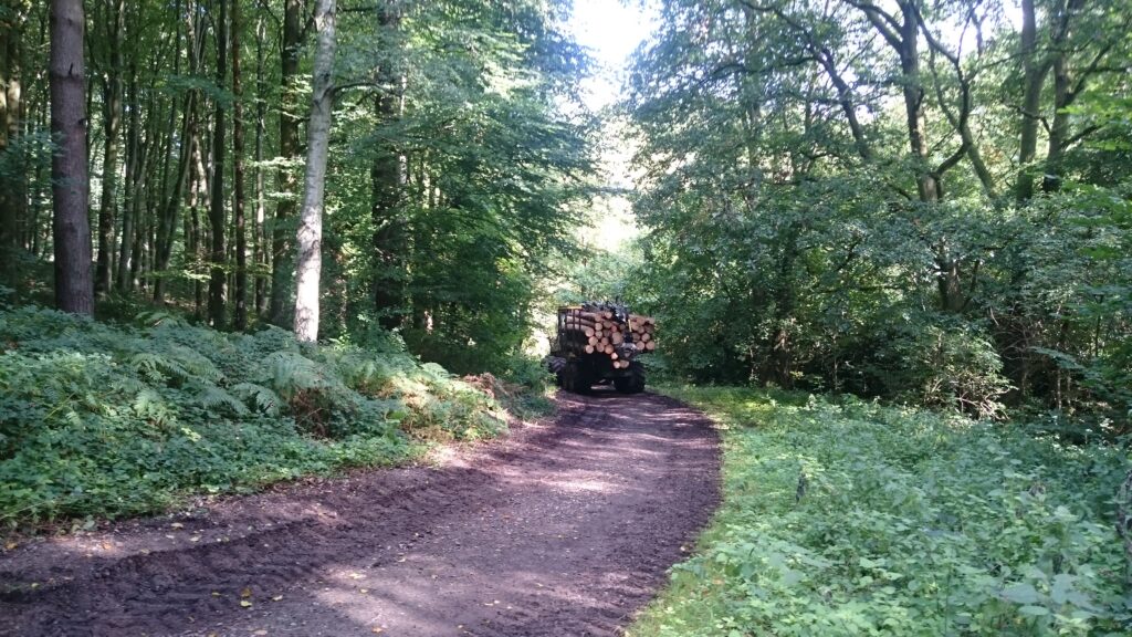 Felled trees being transported from Erlestoke Woods. [Landmarc Support Services/2016]