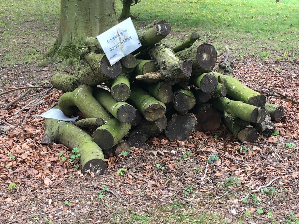 A log pile forming a habitat for invertebrates. [Skanska]