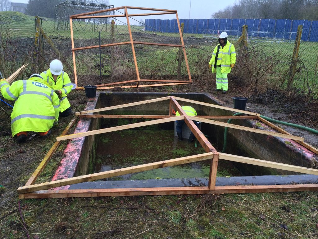 A Skanska team building a pond for the newts. [Skanska]