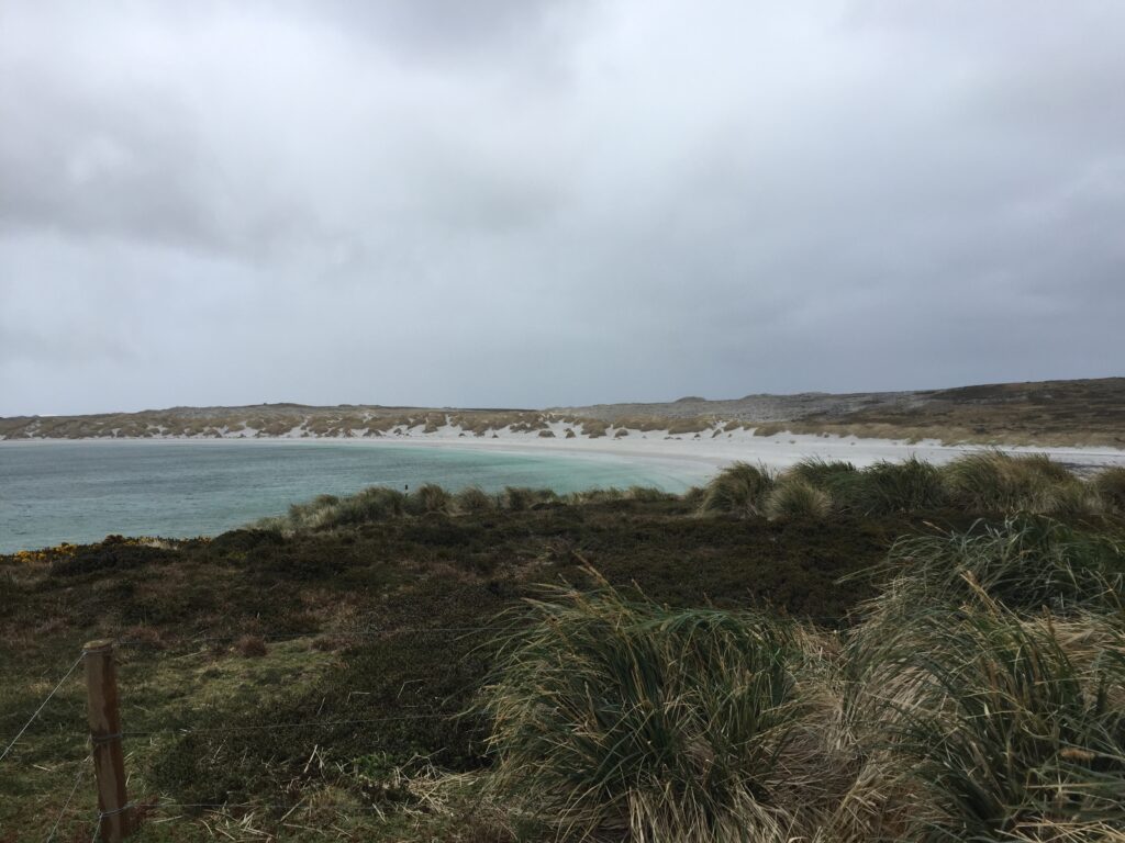 Gypsy Cove on the Falkland Islands. [Crown Copyright/MOD2017]