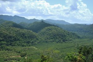 Aerial view of Belize training estate [Crown Copyright, MOD 2018]