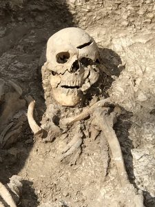 Skeleton in grave at Barrow Clump [Crown Copyright, MOD 2018]