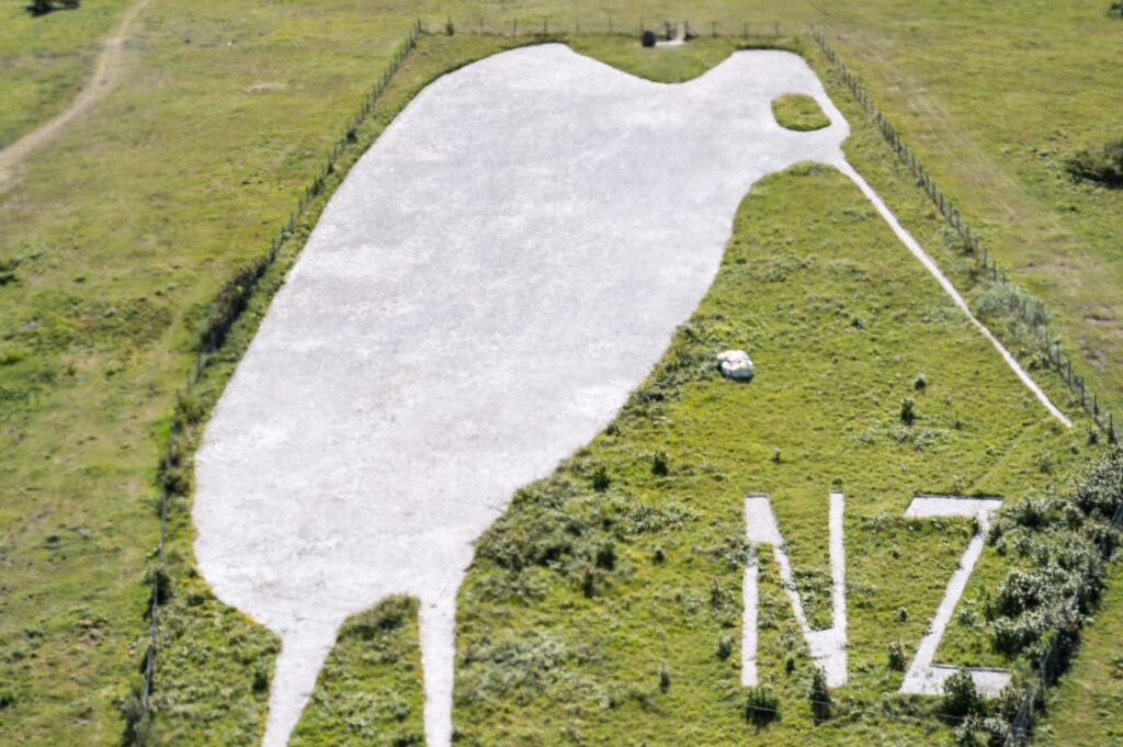 The Bulford Kiwi from the air, showing its white chalk figure, facing to the right, against the green hillside together with the letters "NZ" also in chalk. [Crown copyright, MOD 2018]