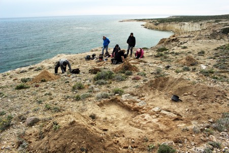 A group of archaeologists around the remains of a low stone wall on a clifftop. Behind them is the sea and a curving coastline.