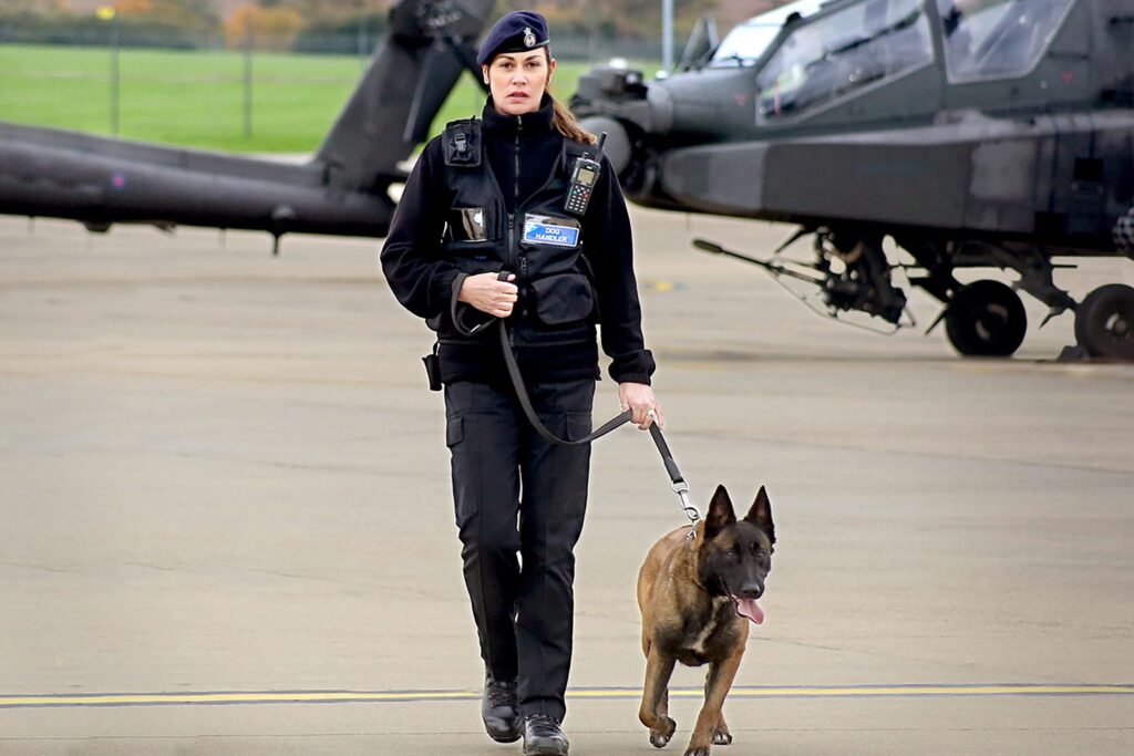 A female MGS guard walks towards the camera with a dog on a lead. Two Apache helicopters are in the background.