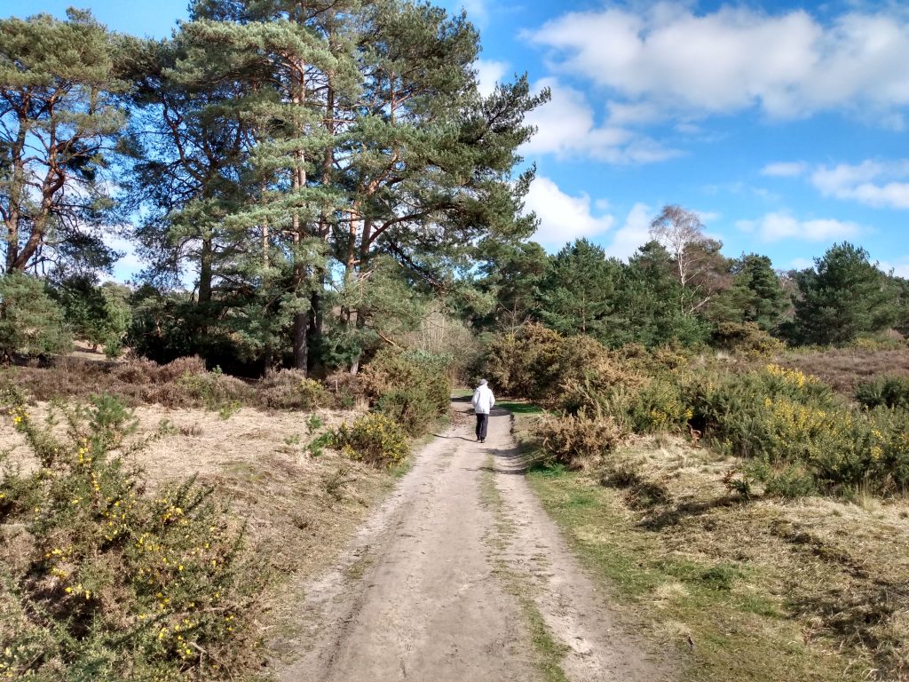 A member of the public is walking on the Barossa Training Area. He is wearing a white jacket with black trousers and is walking on a pathway. Besides him are green trees.