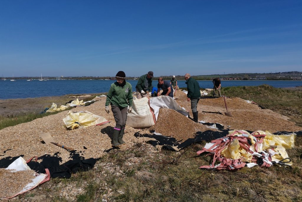 A number of people stand on Pewit Island with the shingle partially spread. The background is a vibrant blue sky.