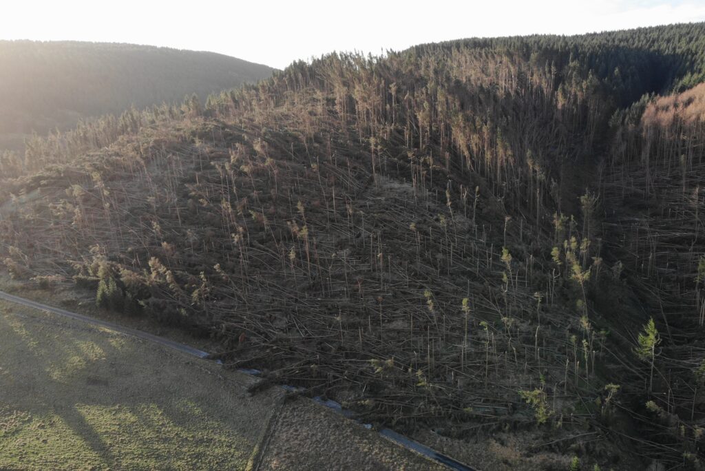 The image is an aerial view of a hillside on which there is a large number of fallen or damaged trees.