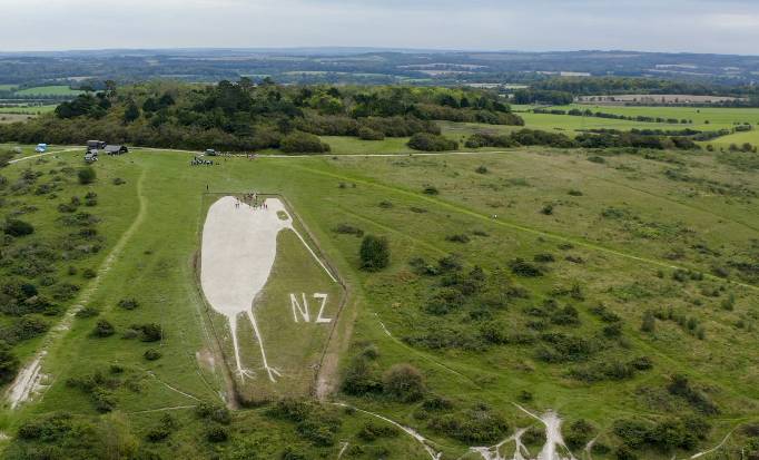 Image shows a large kiwi bird carved into the hillside at Bulford.